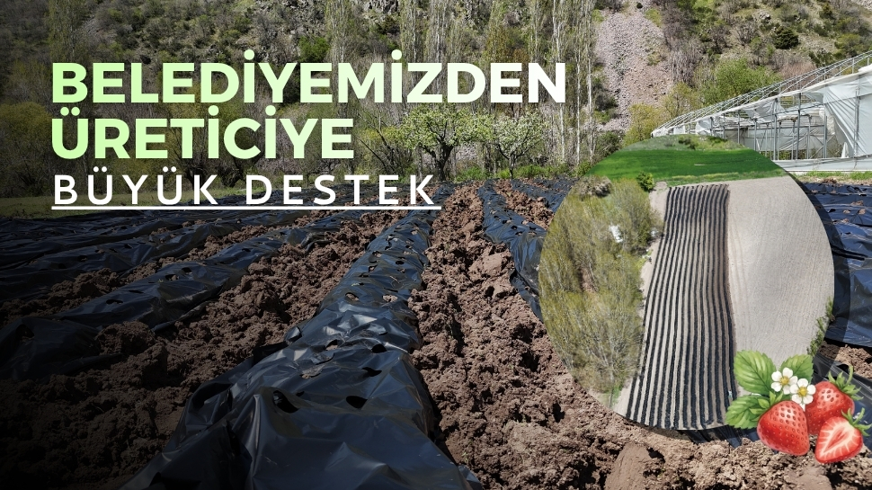 Kızılcahamam Belediyesi